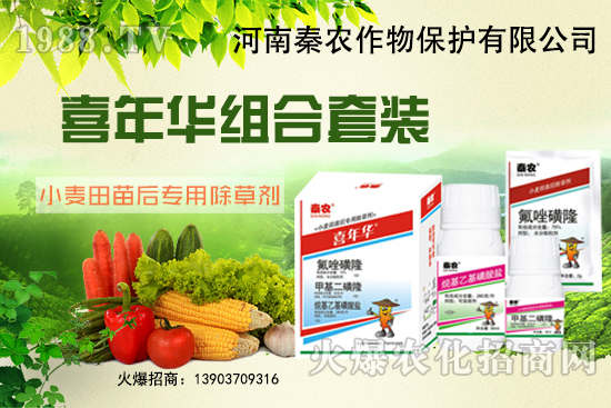 小麥為什么要冬前除草？選什么除草劑效果好？