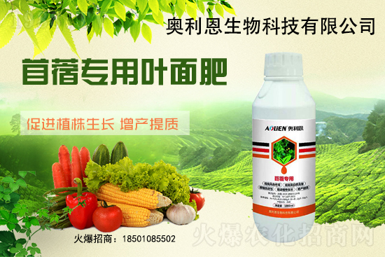 苜蓿越冬肥怎么施？苜蓿的施肥管理