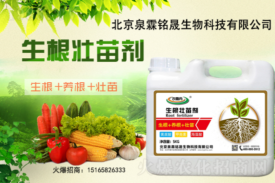 һ���y����2020-11-25�|�����ϝqѸ��