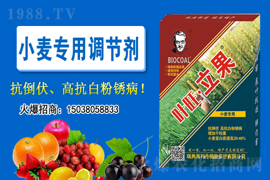 小麥價(jià)格會(huì)不會(huì)上漲？2020-11-26小麥價(jià)格行情