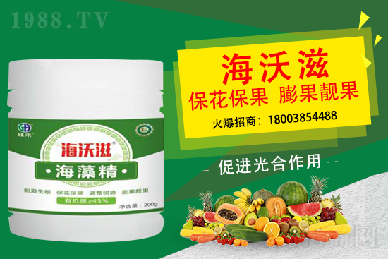 造成草莓果小是什么因素？怎么促進(jìn)草莓膨果呢？