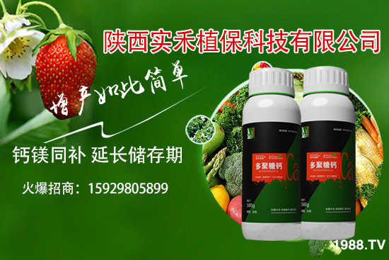 西紅柿卷葉是什么原因，西紅柿卷葉防治措施有哪些？