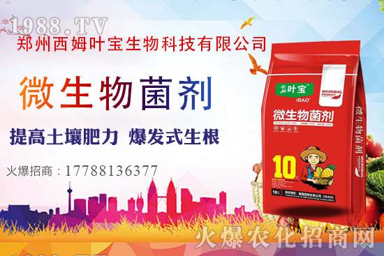 11月7日部分區(qū)域花生價(jià)格行情綜述分析!