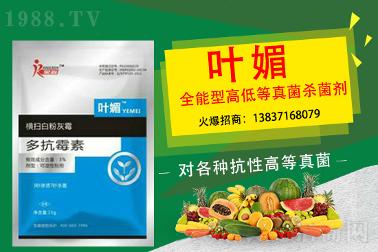 辣椒病害嚴重太難纏,如何輕松解決?