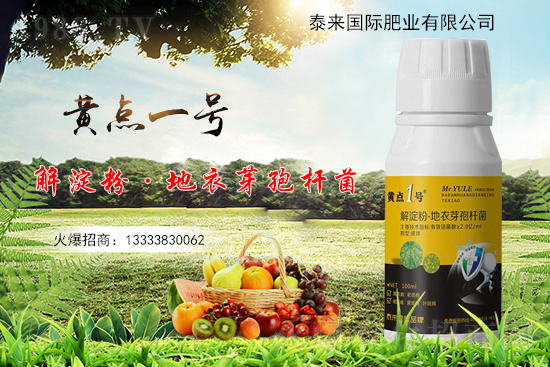 黃瓜葉片起“小黃點”是什么病？防治方案有哪些？