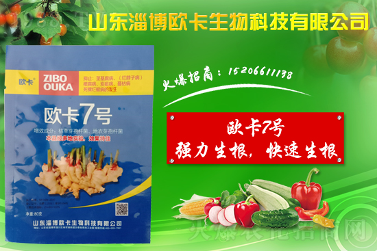 大姜爛脖子病是什么病？大姜爛脖子病用什么藥好防治