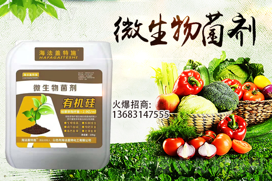 寒潮來(lái)襲！大棚持續(xù)低溫，作物生根要點(diǎn)！