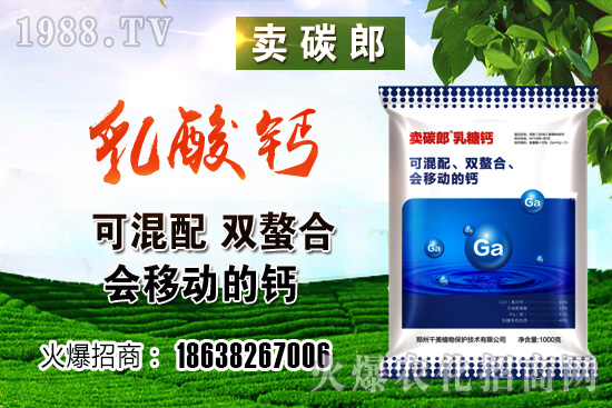 ���������^��С���r(ji��)�����w��λڅ��(w��n)��