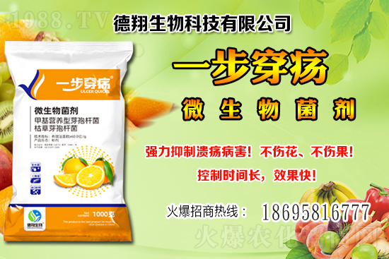 國(guó)產(chǎn)大豆價(jià)格穩(wěn)中有跌！2020-12-21黑龍江及部分地區(qū)大豆行情！