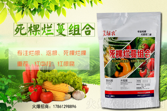 柑橘施肥在什么時間適宜？柑橘樹冬季該怎么管理？