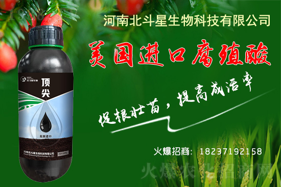 低溫條件下,大棚種植如何做到生根、養(yǎng)根、護(hù)根