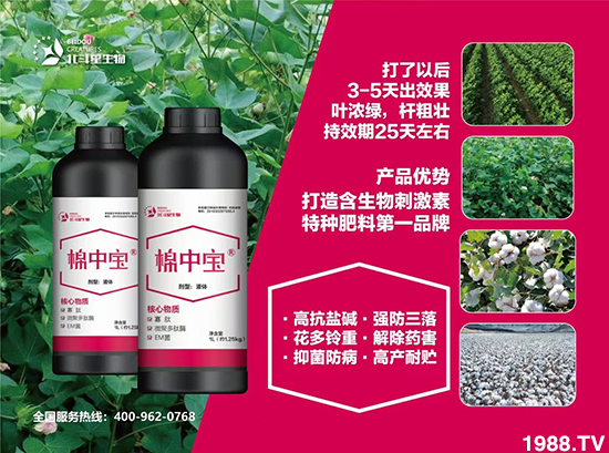 特種肥為什么這么火？有什么特點(diǎn)之處？