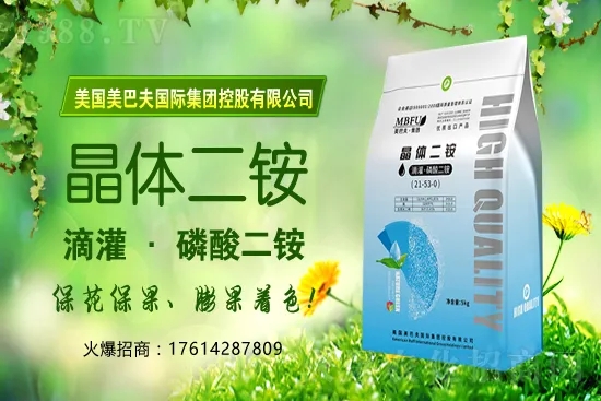 冬季茄果蔬菜蘸花如何避免藥害發(fā)生？蔬菜蘸花注意哪些問題？