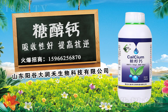 作物補鈣為什么要選擇糖醇鈣？糖醇鈣使用時期及使用效果！
