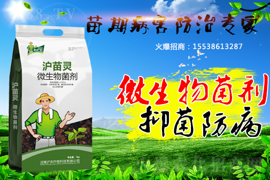 作物苗期病害“致命傷”，基本的預(yù)防方法您會了嗎？