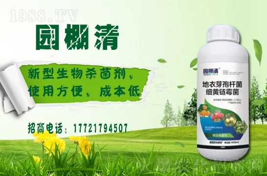 磷酸二氫鉀冬天用效果好嗎？磷酸二氫鉀如何提升植物抗寒能力的？