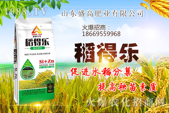 ���ȃr(ji��)��