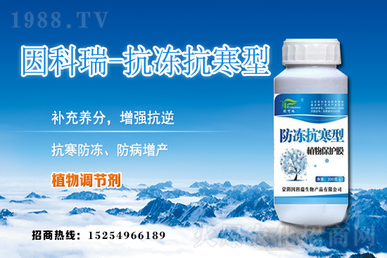 今日稻谷價(jià)格多少錢一斤?2020年12月9日稻谷價(jià)格行情