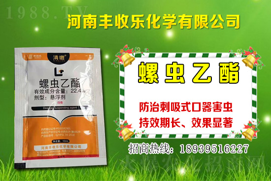 2021年棉花種植品種該怎么選？棉花選種要注意哪些問題？