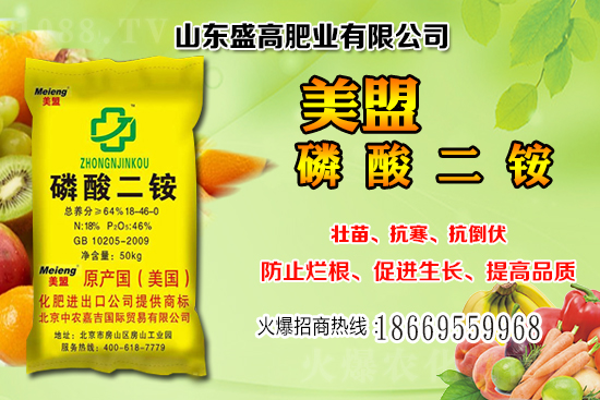 近期小麥價格還會繼續(xù)上漲嗎？12月小麥價格行情分析
