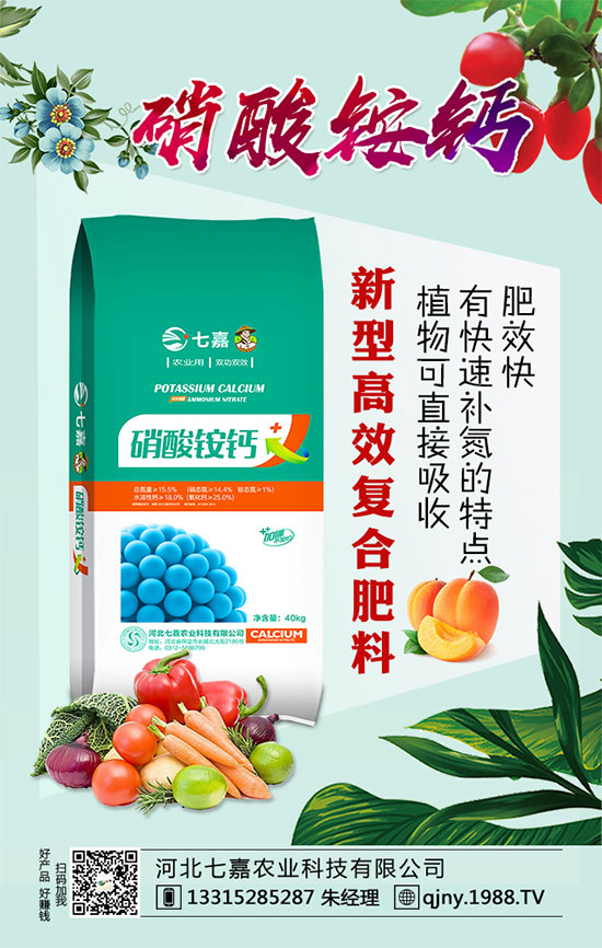 春季辣椒育苗需注意哪些事項？辣椒種植栽培技術！