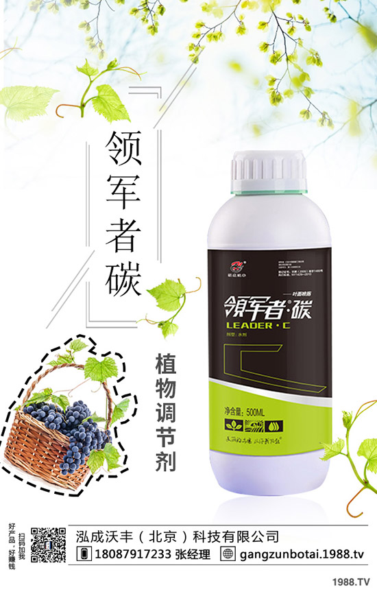 種植空心菜如何提高產(chǎn)量？這些種植方法要知道！