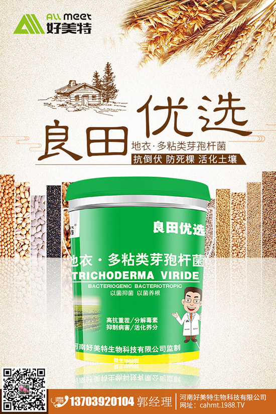 番茄青皮果到底什么原因？番茄青皮果如何有效預(yù)防？