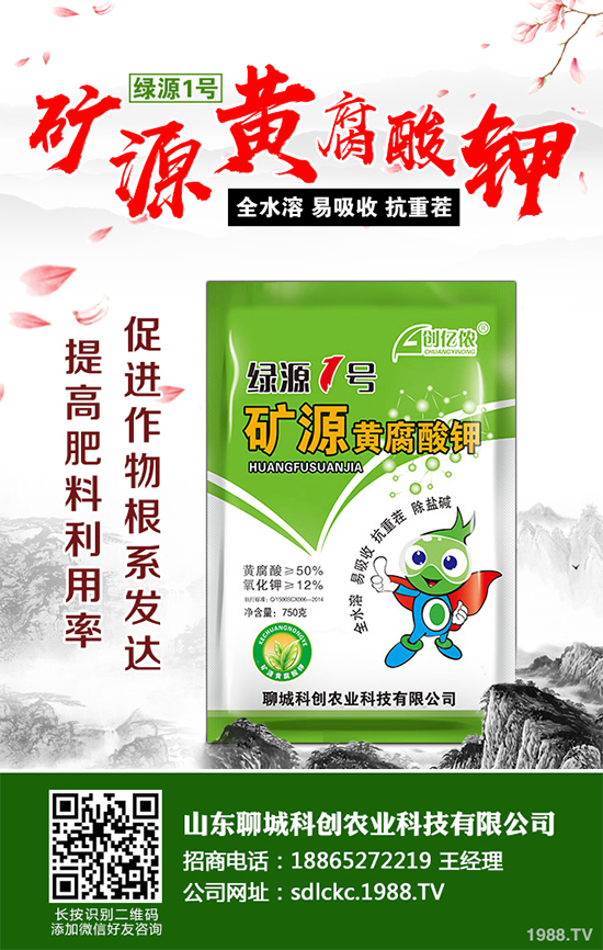 大棚番茄春季該如何澆水？大棚番茄的澆水方法(建議收藏)
