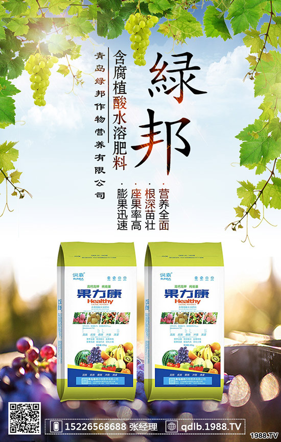 春季菠菜怎樣施肥好?種植菠菜如何科學施肥