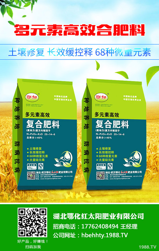豆角種植時(shí)間，豆角種植方法要點(diǎn)！