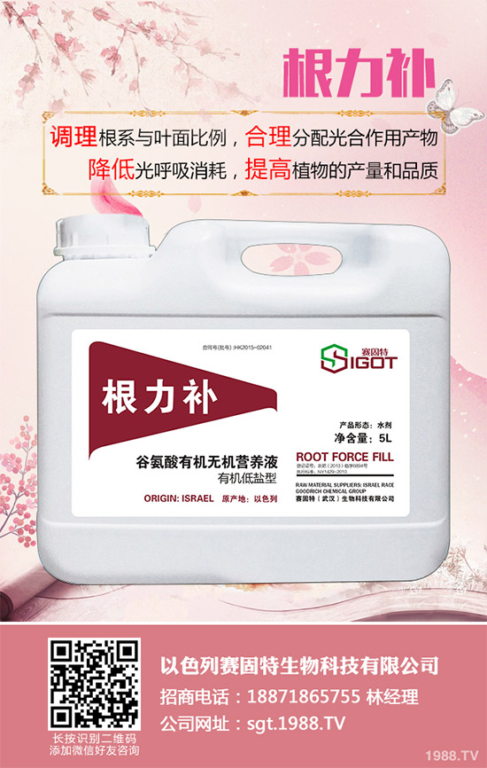 小麥春季常見的病害有哪些？該如何防治？春季小麥病害防治方法介紹