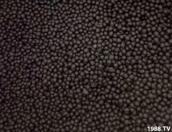 復(fù)合微生物菌劑（藍(lán)）-地康欣