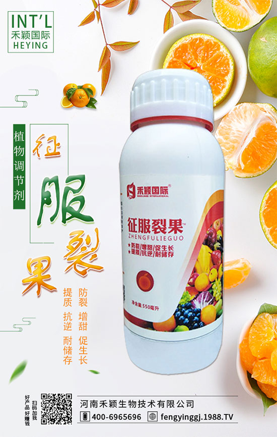 柑橘什么時間適宜栽種？柑橘肥水管理有哪些？