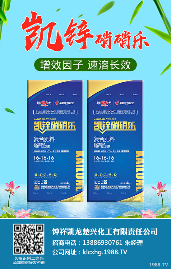 蠶豆該怎么種？蠶豆的種植技術(shù)及病害防治要點(diǎn)