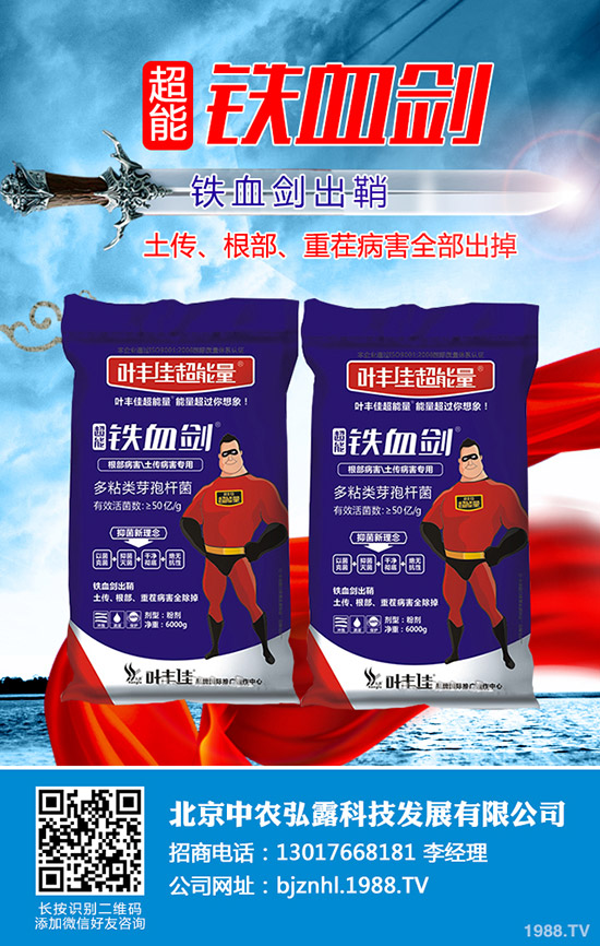     溫室番茄白粉虱的危害，溫室番茄白粉虱怎樣防治？