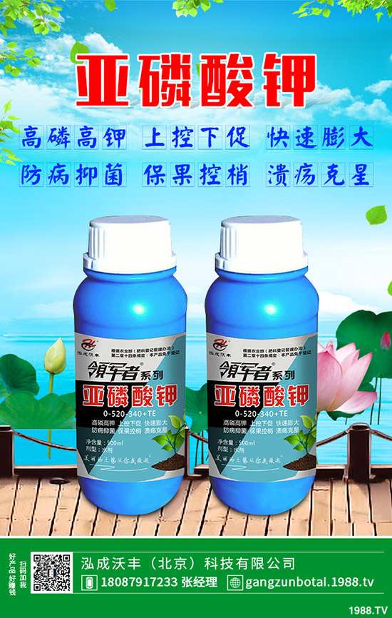 有機蔬菜與無公害蔬菜的區(qū)別，無公害蔬菜如何防蟲？