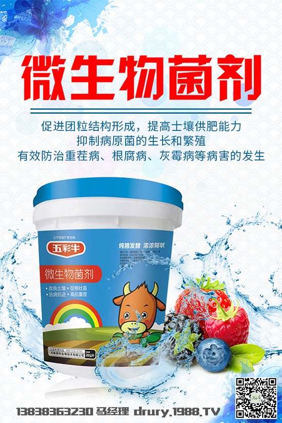 馬兜鈴該如何種植？馬兜鈴的種植技術要點