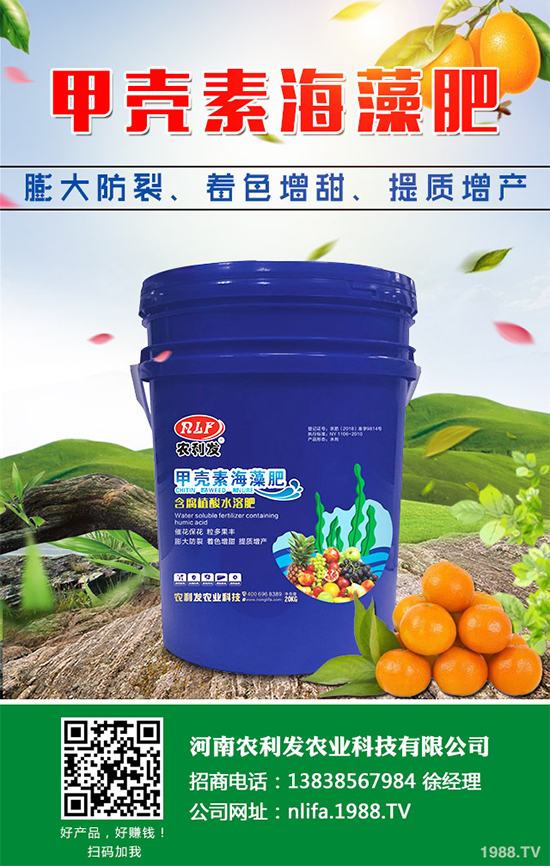 種植白術(shù)掙錢嗎？2020白術(shù)種植前景及效益分析