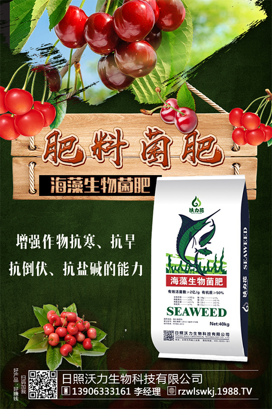 馬蹄市場(chǎng)前景怎么樣？馬蹄種植方法要點(diǎn)有哪些呢？