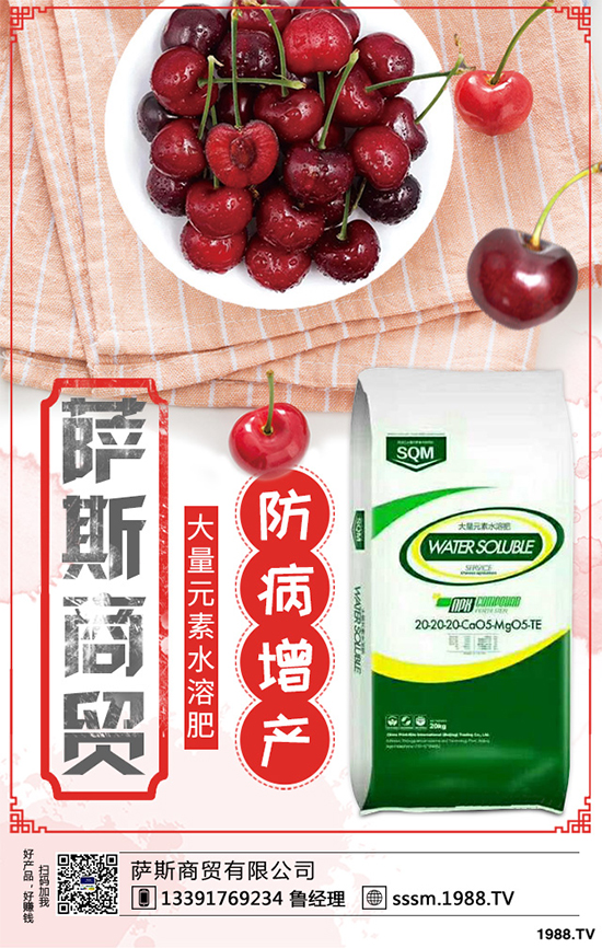 春玉米該如何種植？早春玉米高產(chǎn)種植技術要點