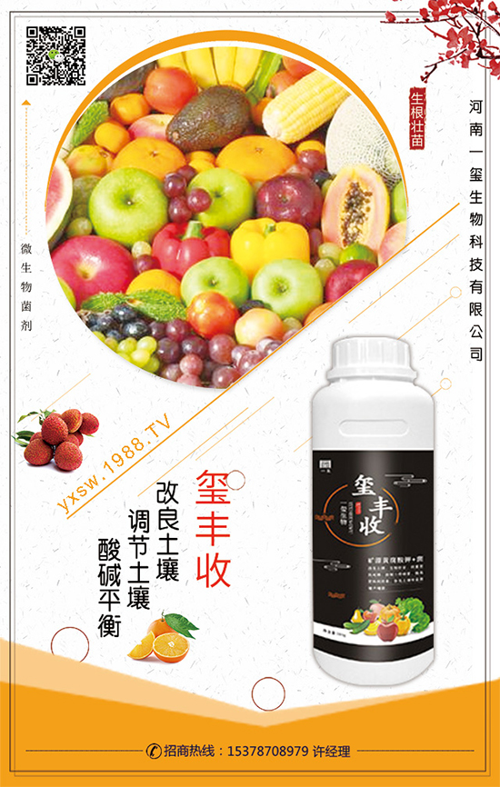 葫蘆的生長習(xí)性，葫蘆種植技術(shù)要點！