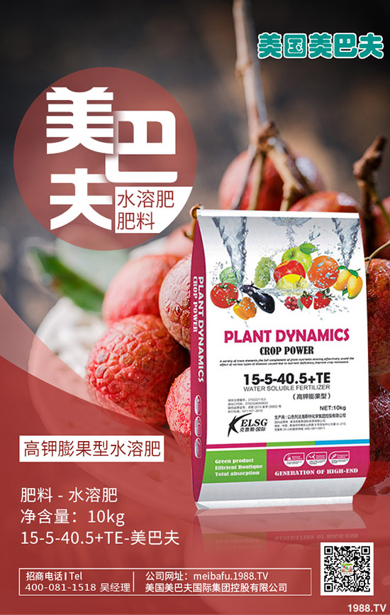 茼蒿怎么種？茼蒿的種植時(shí)間及方法