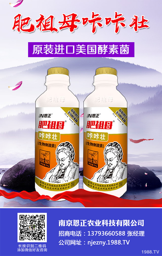 春季花椒樹常見的病蟲害有哪些？該如何防治？花椒病害的發(fā)生與防治