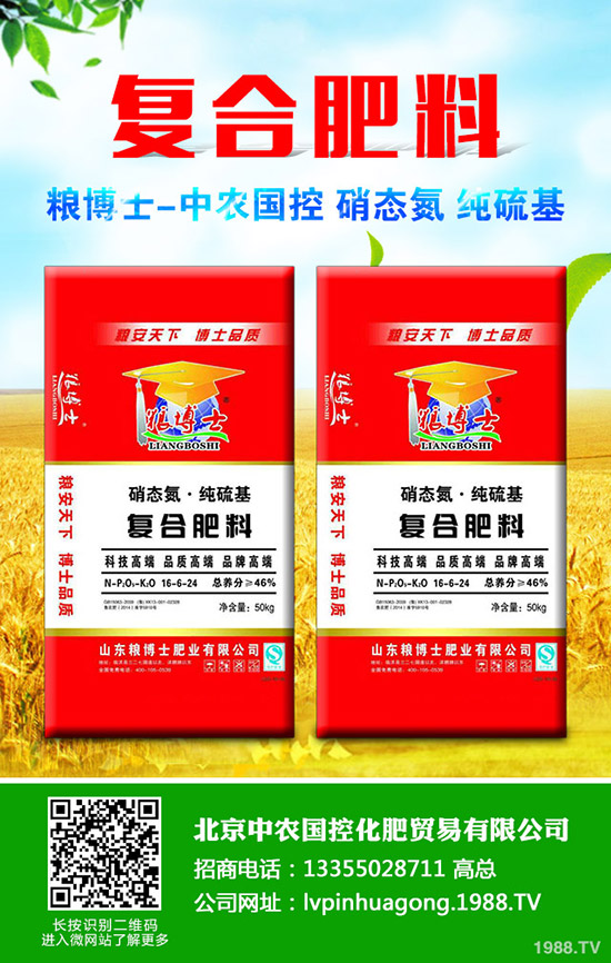 茭白什么季節(jié)種植，茭白種植技巧有哪些？
