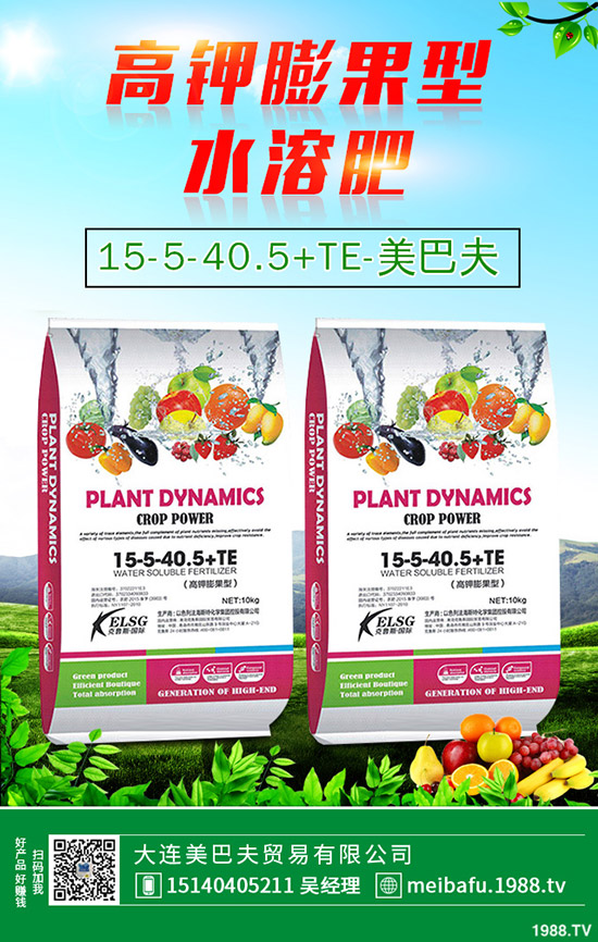 苦瓜怎么施肥，苦瓜施肥要點有哪些？