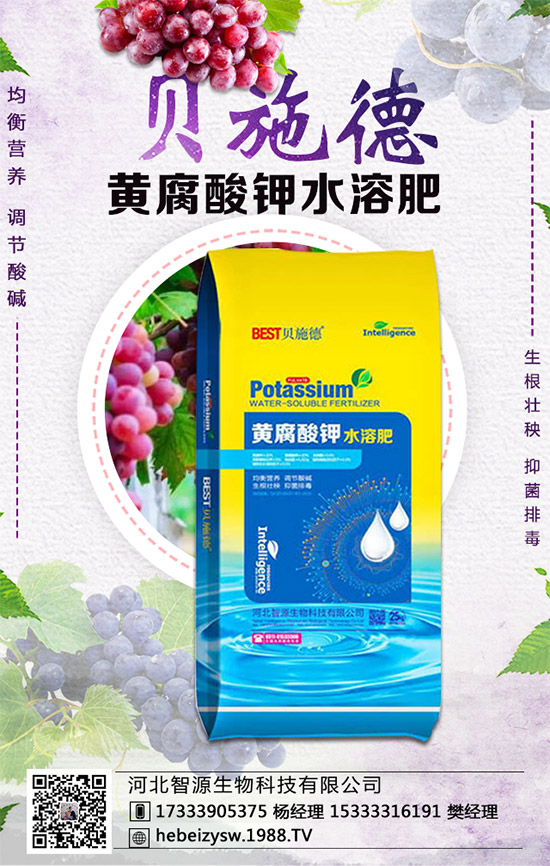 芹菜的營養(yǎng)價值有哪些？常吃芹菜有什么好處？