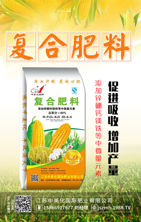 茄子什么時(shí)間育苗?茄子育苗的栽培管理要點(diǎn)!