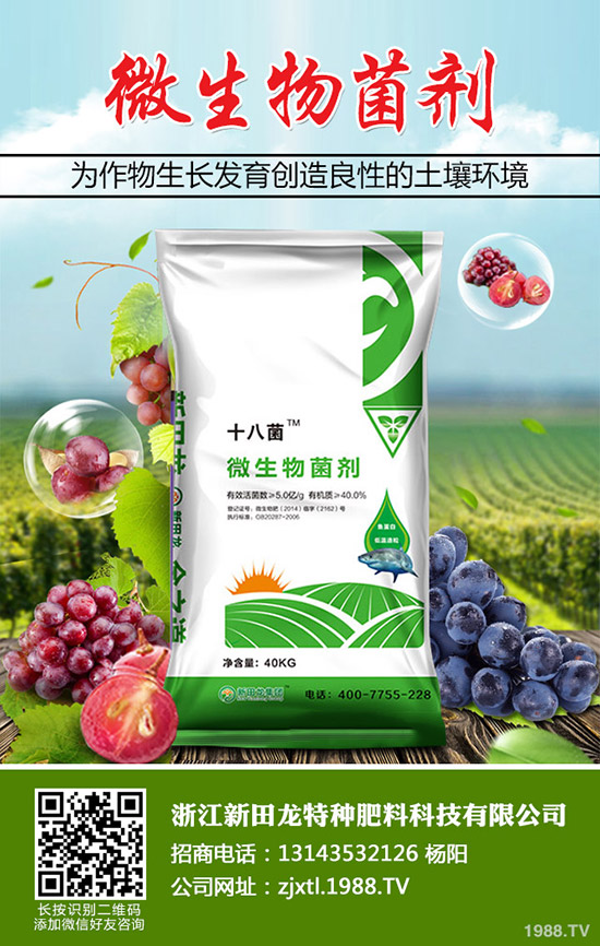 南瓜需肥規(guī)律，南瓜的施肥方法