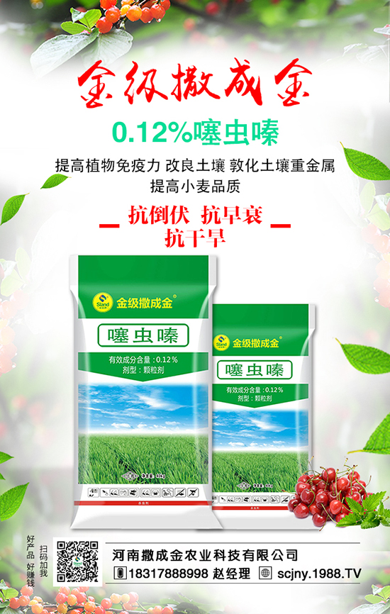 白菜畝產(chǎn)產(chǎn)量高，施肥方法有哪些？