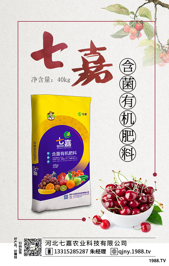 洋桔梗為什么種植難在哪里？洋桔梗種植難點及對策